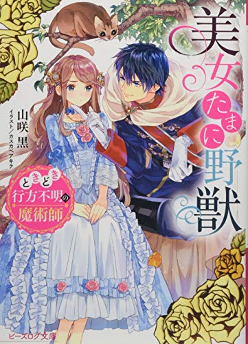 美女たまに野獣 ときどき行方不明の魔術師