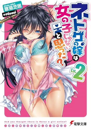 ネトゲの嫁は女の子じゃないと思った? Lv.2