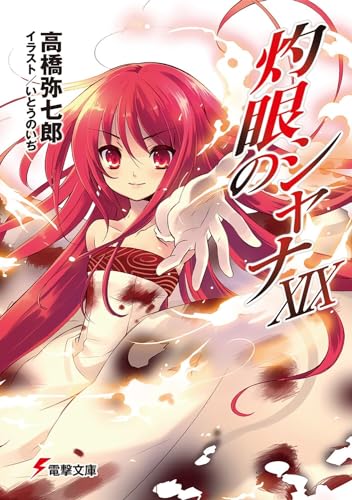 灼眼のシャナ(19)