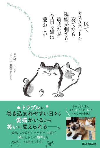 尻でカスタネットを奏でたら視線が刺さり震えたが今日も猫は愛おしい
