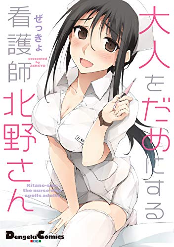 大人をだめにする看護師北野さんの表紙