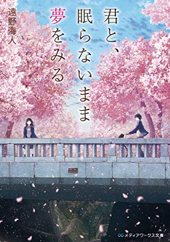 君と、眠らないまま夢をみる(1)