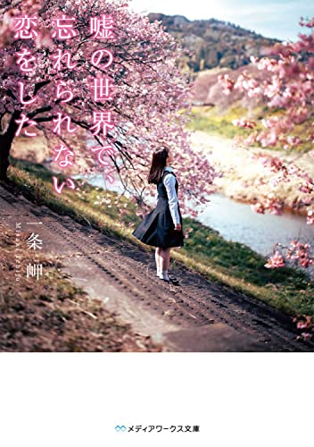 嘘の世界で、忘れられない恋をした(1)