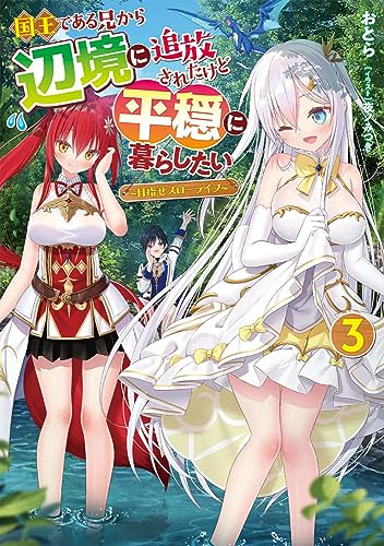 国王である兄から辺境に追放されたけど平穏に暮らしたい(3) 〜目指せスローライフ〜