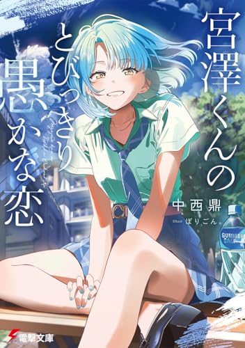 宮澤くんのとびっきり愚かな恋(1)