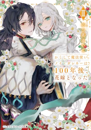 かくして魔法使いノイ・ガレネーは100年後、花嫁となったIII(3)