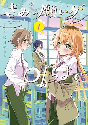 きみの願いが叶うまでの表紙