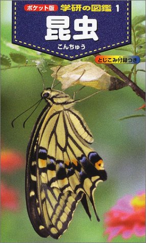 一気にわかる！池上彰の世界情勢２０１８ 国際紛争、一触即発編