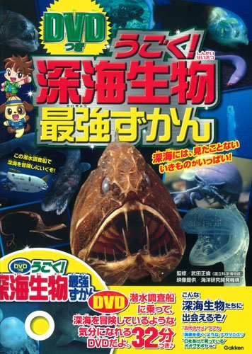一気にわかる！池上彰の世界情勢２０１８ 国際紛争、一触即発編