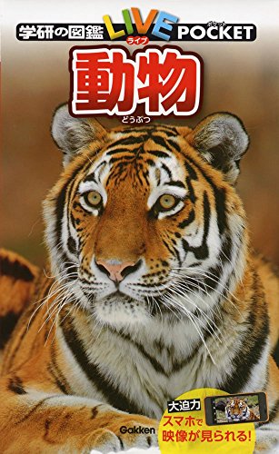 一気にわかる！池上彰の世界情勢２０１８ 国際紛争、一触即発編