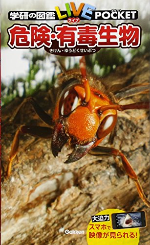 一気にわかる！池上彰の世界情勢２０１８ 国際紛争、一触即発編