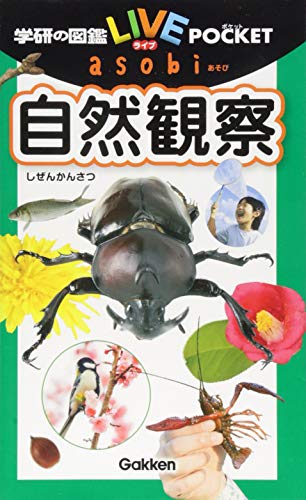 一気にわかる！池上彰の世界情勢２０１８ 国際紛争、一触即発編