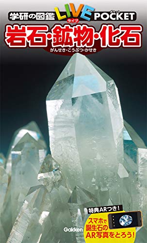 一気にわかる！池上彰の世界情勢２０１８ 国際紛争、一触即発編