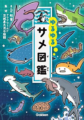 一気にわかる！池上彰の世界情勢２０１８ 国際紛争、一触即発編