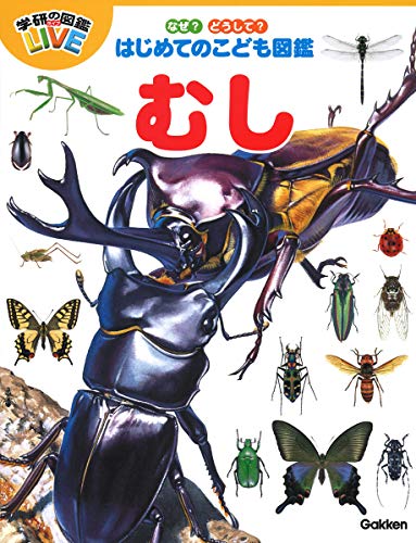 一気にわかる！池上彰の世界情勢２０１８ 国際紛争、一触即発編