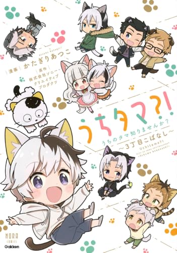 うちタマ?! うちのタマ知りませんか？