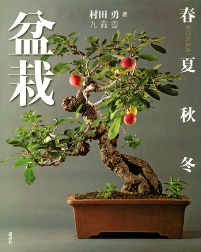 盆栽　春夏秋冬
