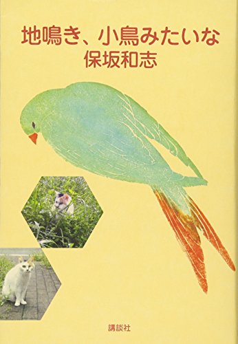 保坂和志『地鳴き、小鳥みたいな』表紙