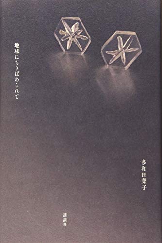 多和田葉子『地球にちりばめられて』表紙