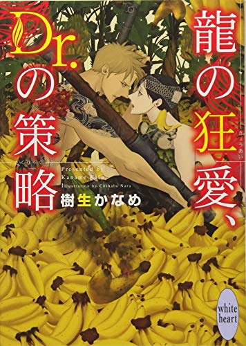 龍の狂愛、Dr.の策略