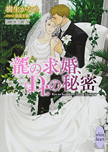龍の求婚、Dr.の秘密