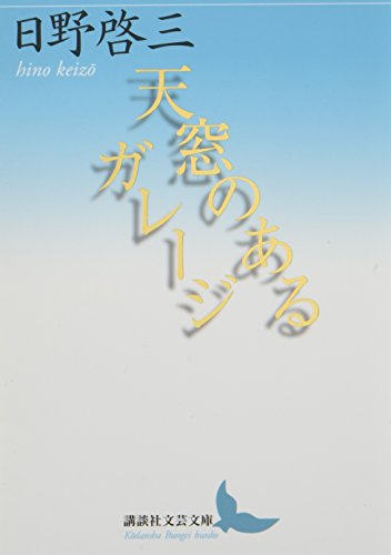 天窓のあるガレージ