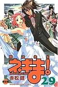 魔法先生ネギま! 29 限定版
