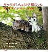 Chi's Sweet Home Photobook