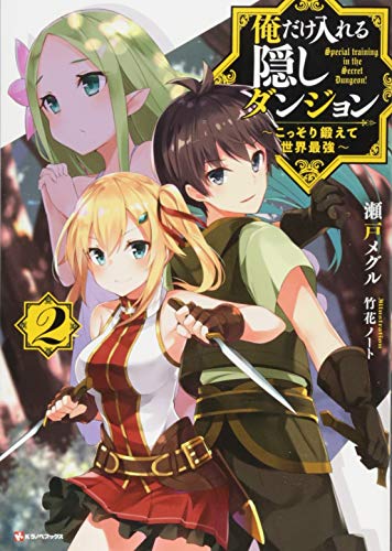 俺だけ入れる隠しダンジョン2 〜こっそり鍛えて世界最強〜