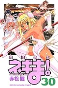 魔法先生ネギま!(30)
