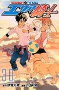 エリアの騎士(30)