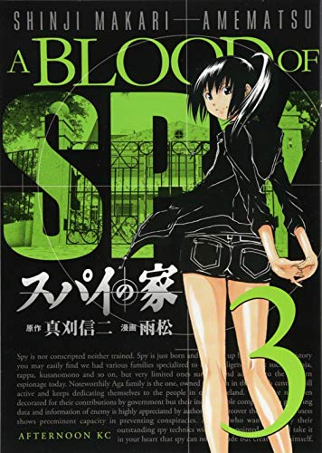 スパイの家(3)