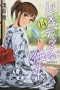 ドメスティックな彼女(14)特装版