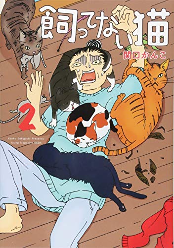 飼ってない猫(2)