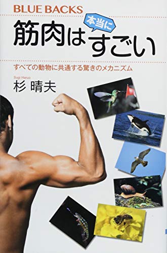 筋肉は本当にすごい すべての動物に共通する驚きのメカニズム