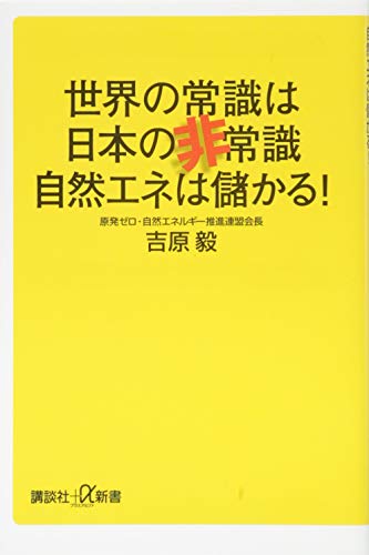 世界の常識は日本の非常識 自然エネは儲かる!