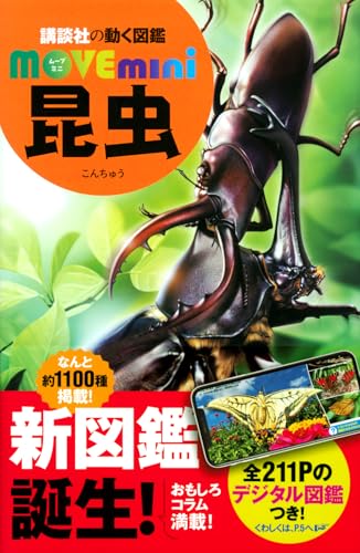 一気にわかる！池上彰の世界情勢２０１８ 国際紛争、一触即発編