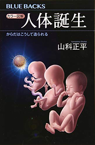 カラー図解 人体誕生 からだはこうして造られる