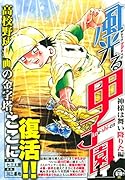 風光る 神様は舞い降りた編