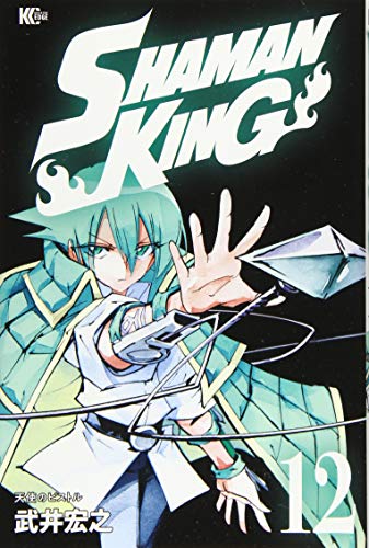 SHAMAN KING(12)