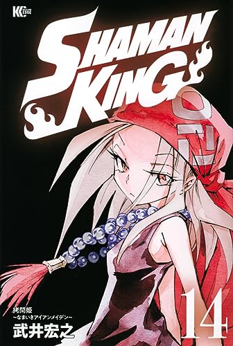 SHAMAN KING(14)
