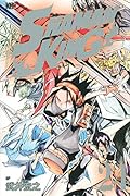 SHAMAN KING(24)