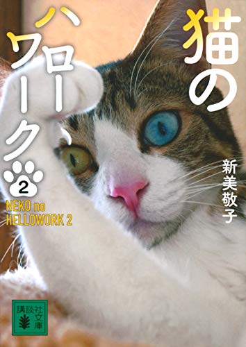 猫のハローワーク2