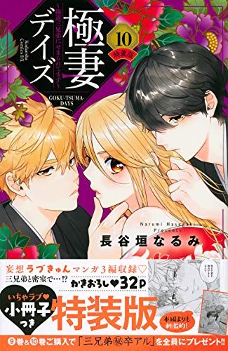 極妻デイズ〜極道三兄弟にせまられてます〜(10)特装版