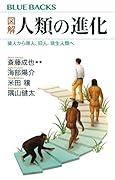 図解 人類の進化 猿人から原人、旧人、現生人類へ