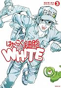 はたらく細胞WHITE(3)