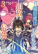 味方が弱すぎて補助魔法に徹していた宮廷魔法師、追放されて最強を目指す3