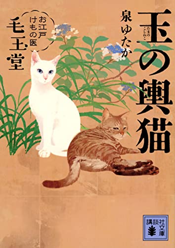 玉の輿猫 お江戸けもの医 毛玉堂