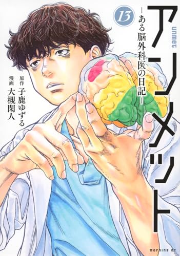 アンメット = unmet : ある脳外科医の日記. 13表紙画像