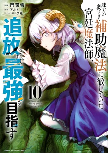 味方が弱すぎて補助魔法に徹し在宮廷魔法師、追放されて最強を目指す（10）